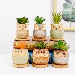 simpa 6PC Assorted Shaped Owl Ceramic Plant Pots with Bamboo Base - thumbnail 2