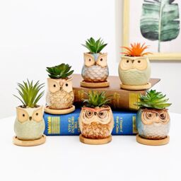 simpa 6PC Assorted Shaped Owl Ceramic Plant Pots with Bamboo Base - thumbnail 3
