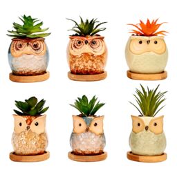 simpa 6PC Assorted Shaped Owl Ceramic Plant Pots with Bamboo Base - thumbnail 1