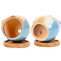 simpa 6PC Assorted Shaped Owl Ceramic Plant Pots with Bamboo Base - thumbnail 6