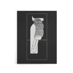"Artery8 Sulphur Crested Cockatoo Parrot De Mesquita Canvas Wall Art Print in Black - Size: W12"" x H16""" - thumbnail 1