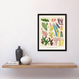 Artery8 William Saville Kent Framed Wall Art Print Great Barrier Reef Corals in Beige - Size: A4 - thumbnail 2