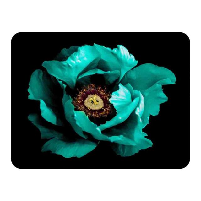 Benjamin Tate Design Cyan Peony Flower Blanket in Natural - Size: 120 cm x 150 cm - image 1