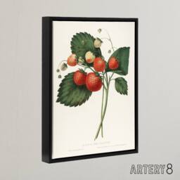 "Artery8 Boston Pine Strawberry Plant Hovey Black Framed Canvas Wall Art in White - Size: W24"" x H32""" - thumbnail 2