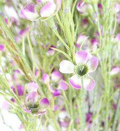 Leaf Pack of 6 x 100cm Artificial Foliage Stem with Small Flowers - Purple - Size: 6 x 100 cm - thumbnail 6