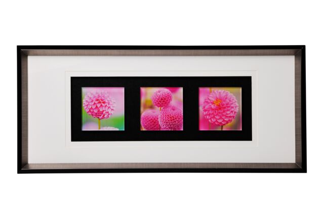 Orsina Pink Floral Colour Glass Triple Wall Art in Black - image 1