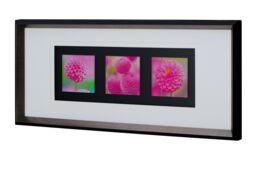 Orsina Pink Floral Colour Glass Triple Wall Art in Black - thumbnail 2