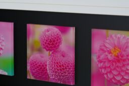 Orsina Pink Floral Colour Glass Triple Wall Art in Black - thumbnail 3