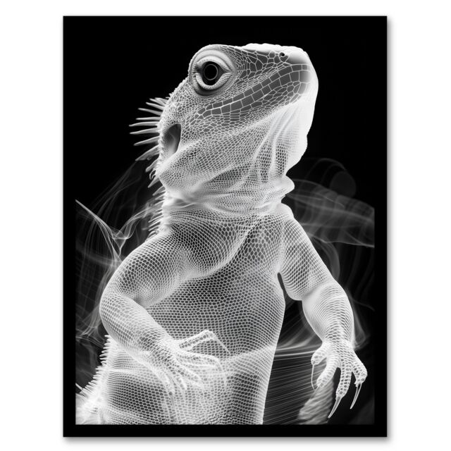 Artery8 Xray Effect Lizard Detailed Scales White on Black Framed Art Print in Grey - Size: A4 - image 1