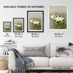 Artery8 Frederick Sander Cattleya Trianae White Orchid Framed Wall Art Print - Size: A4 - thumbnail 3