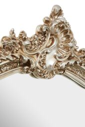 Orsina Exquisite Ornate Champagne Wall Mirror, Lounge Mirror With Intricate Floral Motifs, Decorative Framed Mirror in Gold - thumbnail 3