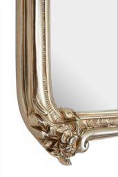 Orsina Exquisite Ornate Champagne Wall Mirror, Lounge Mirror With Intricate Floral Motifs, Decorative Framed Mirror in Gold - thumbnail 4