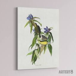 "Artery8 Connecticut Warbler Bird Audubon Nature Canvas Wall Art in White - Size: W18"" x H24""" - thumbnail 2