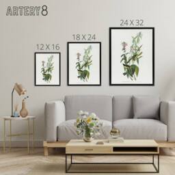 "Artery8 Green Black Capped Flycatcher Audubon Nature Black Framed Canvas Print in White - Size: W12"" x H16""" - thumbnail 4