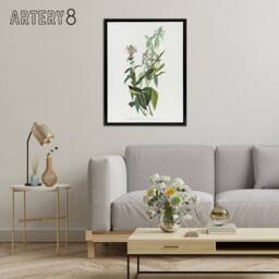 "Artery8 Green Black Capped Flycatcher Audubon Nature Black Framed Canvas Print in White - Size: W12"" x H16""" - thumbnail 3