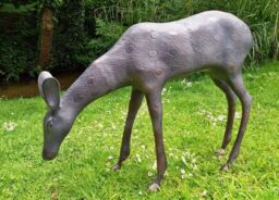 Inspirational Gifting Stag & Doe Deer Set our Largest Garden Sculptures - Hand Cast in Aluminium in Bronze - thumbnail 4