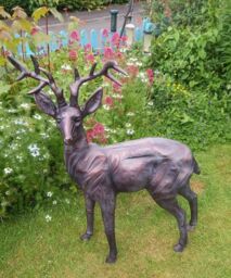 Inspirational Gifting Stag & Doe Deer Set our Largest Garden Sculptures - Hand Cast in Aluminium in Bronze - thumbnail 3