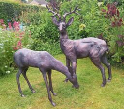 Inspirational Gifting Stag & Doe Deer Set our Largest Garden Sculptures - Hand Cast in Aluminium in Bronze - thumbnail 5