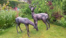 Inspirational Gifting Stag & Doe Deer Set our Largest Garden Sculptures - Hand Cast in Aluminium in Bronze - thumbnail 2