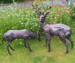 Inspirational Gifting Stag & Doe Deer Set our Largest Garden Sculptures - Hand Cast in Aluminium in Bronze - thumbnail 1