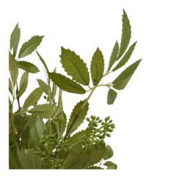 Hill Interiors Fennel Artificial Plant in Green - thumbnail 3