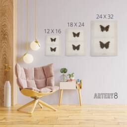 "Artery8 Mourning Cloak Butterfly Sherman Denton Canvas Wall Art Print in White - Size: W12"" x H16""" - thumbnail 4