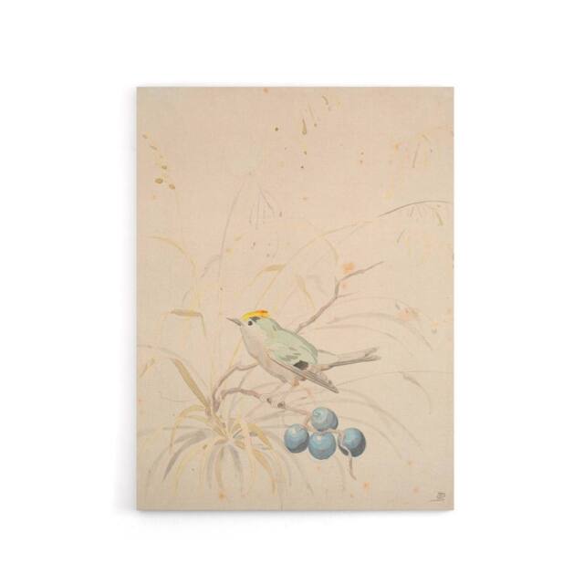 "Artery8 PC Skovgaard Kingbird on a Meadow Branch Canvas Wall Art Print in Beige - Size: W12"" x H16""" - image 1