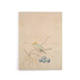 "Artery8 PC Skovgaard Kingbird on a Meadow Branch Canvas Wall Art Print in Beige - Size: W12"" x H16""" - thumbnail 1