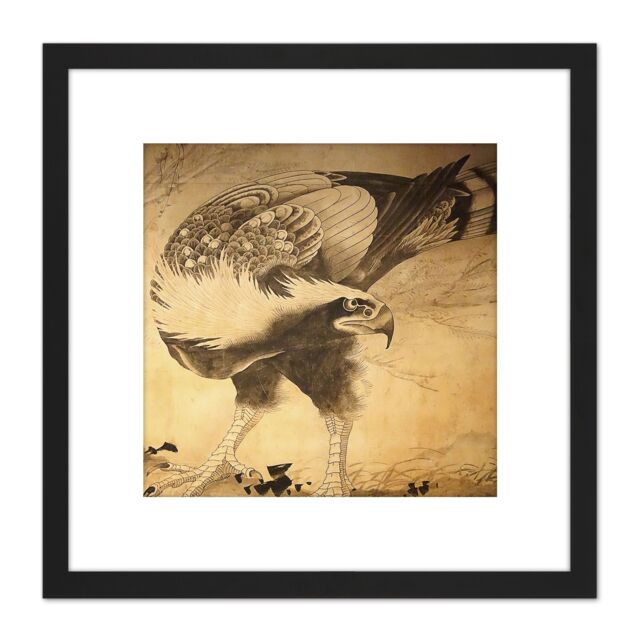 Artery8 Shohaku Hawk Bird Japan Painting 8X8 Inch Square Wooden Framed Wall Art Print Picture with Mount in Black - image 1
