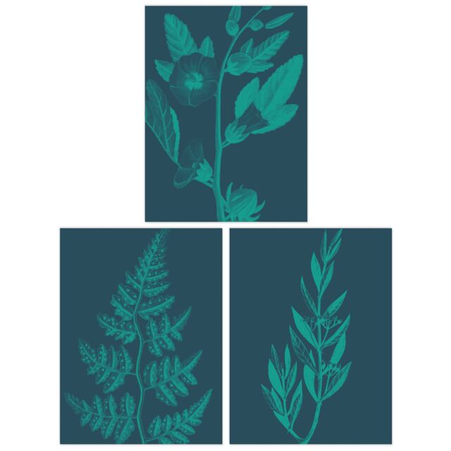 Artery8 Wall Art Print Pack of 3 A4 Teal Turquoise Leaves Plant Frond & Tree Blooms Botanical Living Room s Set - image 1