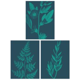 Artery8 Wall Art Print Pack of 3 A4 Teal Turquoise Leaves Plant Frond & Tree Blooms Botanical Living Room s Set - thumbnail 1