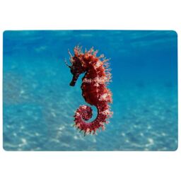 Benjamin Tate Design Mediterranean Seahorse Designer Rug in Natural - Size: Large - thumbnail 1