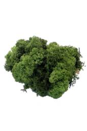 KDMD Dark Green Reindeer Moss Christmas Ornament - thumbnail 1