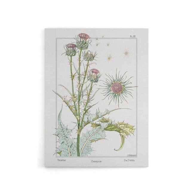 "Artery8 Thistle Flower Canvas Wall Art Print Vintage Floral Verneuil in White - Size: W24"" x H32""" - image 1