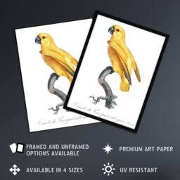 "Artery8 Lutino Senegal Parrot Francois Levaillant Framed Wall Art Print in White - Size: W12"" x H16""" - thumbnail 2
