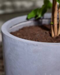 Dibor Large Light Grey Fibre Clay Indoor Outdoor Garden Planter Houseplant Flower Plant Pot H37 x Dia37cm - thumbnail 5