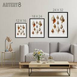 "Artery8 Northern Sea Molluscs Species Albert I Framed Canvas Wall Art Print in White - Size: W18"" x H24""" - thumbnail 4