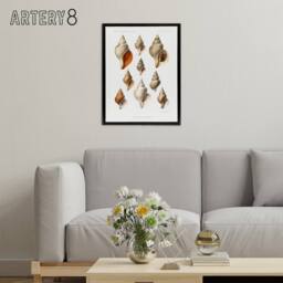 "Artery8 Northern Sea Molluscs Species Albert I Framed Canvas Wall Art Print in White - Size: W18"" x H24""" - thumbnail 3