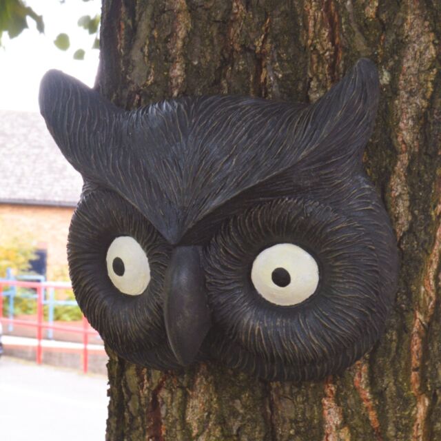 mysmartbuy Owl Face Tree, Wall or Fence Decoration - Weather Resistant Polyresin Black Tawny Barn Owl Animal Sculpture - H16 x W19 x D4.5cm - image 1