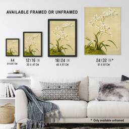 Artery8 Frederick Sander Odontoglossum Ramosissimum Orchid Framed Art Print - Size: A4 - thumbnail 3