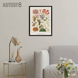 "Artery8 Great Barrier Reef of Australia Corals Kent Framed Canvas Wall Art in White - Size: W12"" x H16""" - thumbnail 3