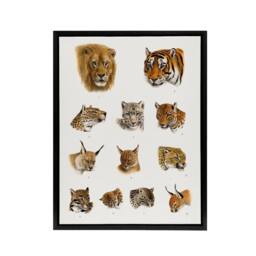 "Artery8 Wild Animal Safari Big Cats Illustration Lydekker Framed Canvas Art in White - Size: W12"" x H16""" - thumbnail 1