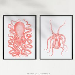 Artery8 Wall Art Print Pink Octopus Marine Sea Life Set Of 2 s Bathroom Bedroom Aesthetic Vintage A4 - thumbnail 5
