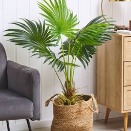 Wyld and Coco Artificial Potted Fan Palm 100 cm Green and Black - thumbnail 1
