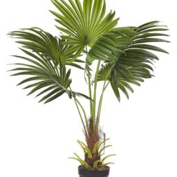 Wyld and Coco Artificial Potted Fan Palm 100 cm Green and Black - thumbnail 2