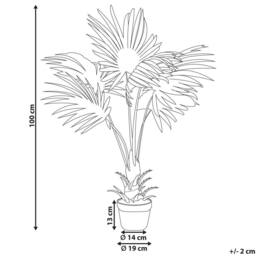 Wyld and Coco Artificial Potted Fan Palm 100 cm Green and Black - thumbnail 4