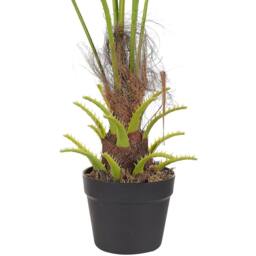 Wyld and Coco Artificial Potted Fan Palm 100 cm Green and Black - thumbnail 5