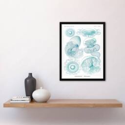 Artery8 Ernst Haeckel Framed Wall Art Aequoreidae Jellyfish Marine Life Species in White - Size: A4 - thumbnail 2