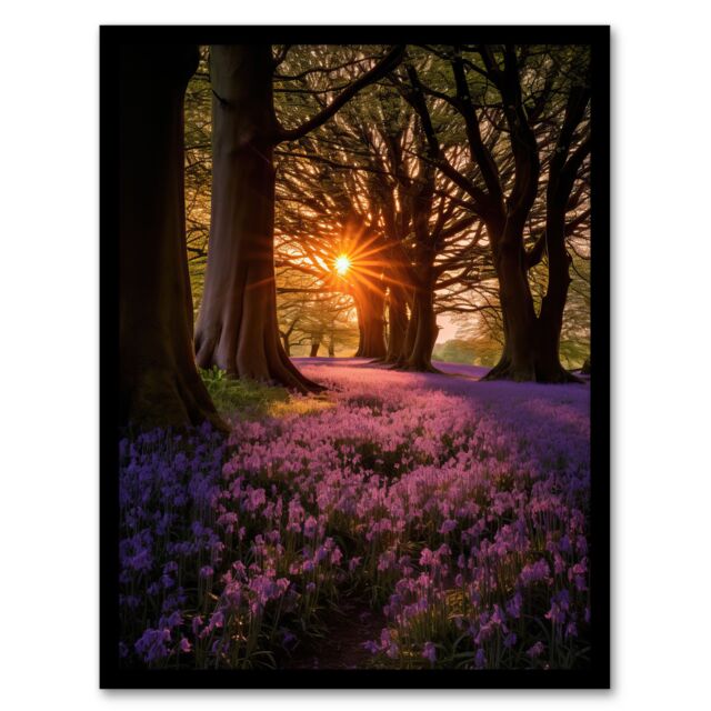 Artery8 Wall Art Print Purple Bluebell Woods At Dawn Sunrise Peaceful Elegant Artwork Art Framed in Black - Size: A4 - image 1