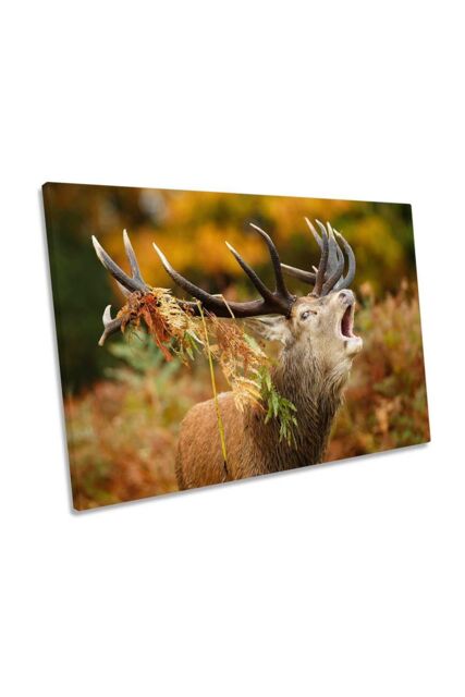 "CanvasGeeks The Rut Antlers Stag Wildlife Deer Canvas Wall Art Picture Print in Brown - Size: W18"" x H12"" x D20mm"